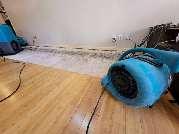 Professional Water Damage Repair technician working in Mechanicstown, OH